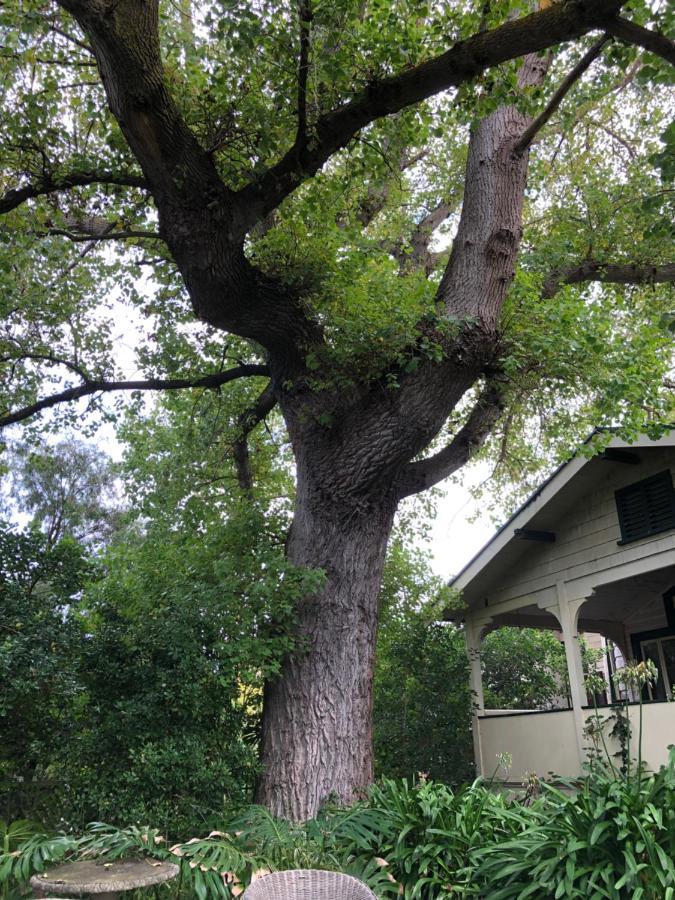 Lorelei Bed&Breakfast Portland Exterior foto