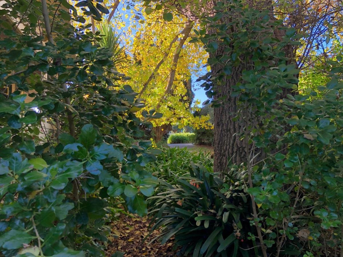 Lorelei Bed&Breakfast Portland Exterior foto